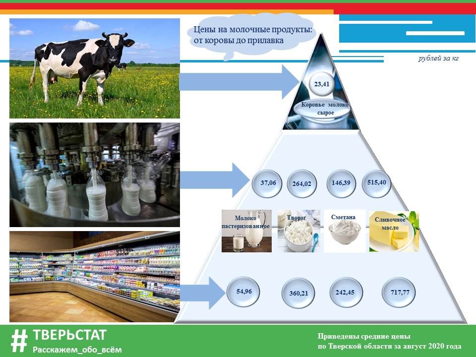 Путь молока. Примеры молочной продукции. Схема производства молока от коровы. Процесс производит молочные продукты. Молоко от дойных коров.